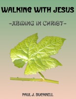 Abiding in Christ: Walking with Jesus