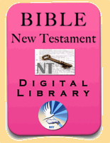 Biblical DVD