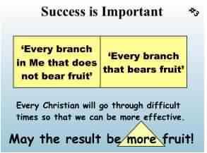 Success is important so God makes all His people bear more fruit.
