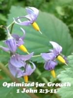 Optimized for Growth 1 John 2:3-11