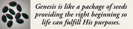 Genesis is like a package of seeds providing the right beginning so life can fulfill its purposes.