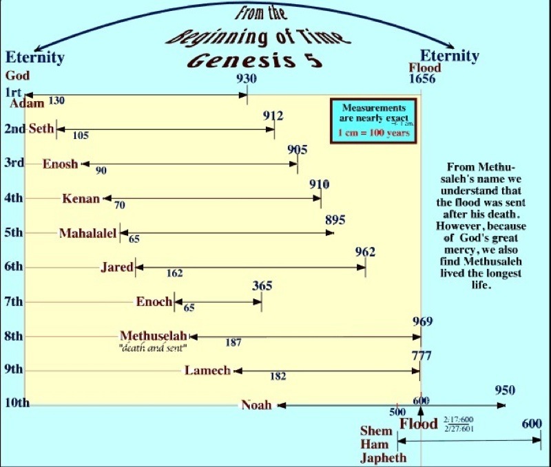 Image result for lineage from adam to noah