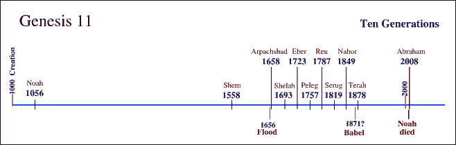 Genealogy Of Adam. only by the genealogical