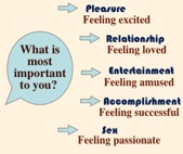 Pleasure, Relationship, Entertainment, Accomplishment, Sex and Pleasure