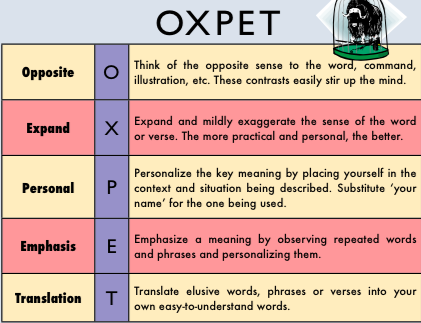 Explanation of OXPET principles