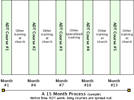 A 15-month training process - sample only