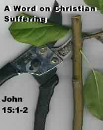 A Word on Christian Suffering, John 15:1-2