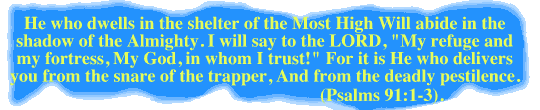 He who dwells in the shelter of the Most High Will abide in the shadow of the Almighty. I will say to the LORD, “My refuge and my fortress, My God, in whom I trust!” For it is He who delivers you from the snare of the trapper, And from the deadly pestilence. (Psalms 91:1-3, NASB).