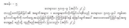 Burmese Flow02