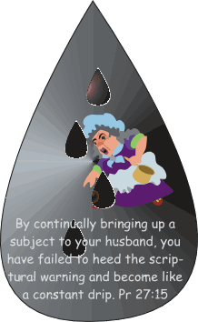 By continually bringing up a subject to your husband, the wife has failed to heed the scriptural warning and become like a constant drip. Proverbs 27:15