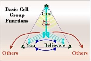 Basic Cell Group Function