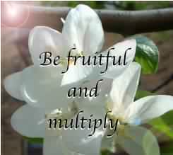 Be fruitful and multiply! Genesis 1:28