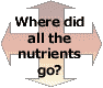 where did all the nutrients go?