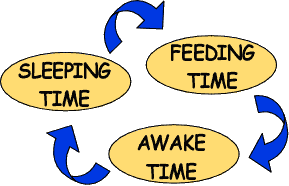 Baby routine of sleeping-feeding and awake time.