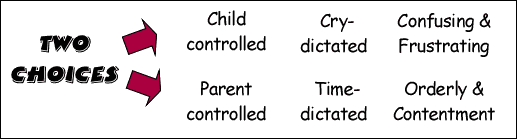 Infant training choices - routine