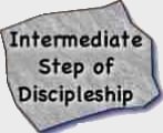 Intermediate discipleship materials
