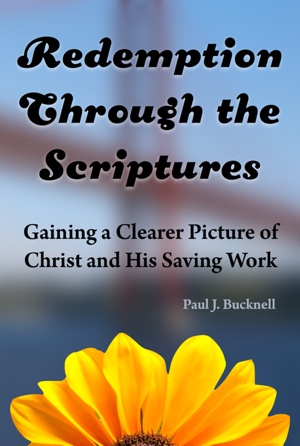 Redemption Through the Scriptures

: Gaining a Clearer Picture of Christ and His Saving Work