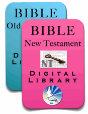 Biblical Digital Libraries