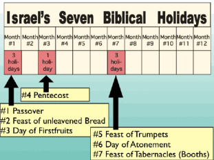 Israel's Seven Biblical Holidays diagram and chart