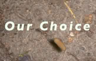 Our choice