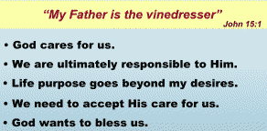 John 15:1 Vinedresser