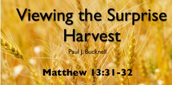 Viewing the Surprise Harvest  Matthew 13:31-32