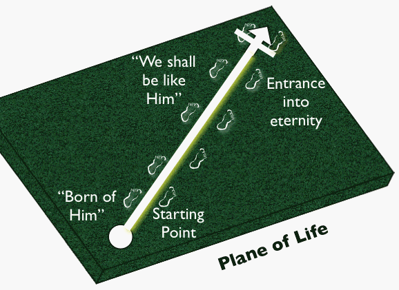 The Pathway to Life (1 John 3:1-10)