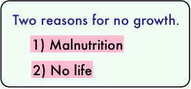 Two reasons for the absence of growth.