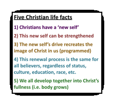 Five Christian life facts