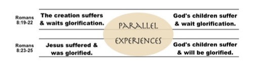 Creation Suffers Romans 8:19-25