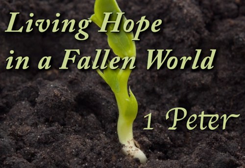 Living Hope in a Fallen World – 1 Peter