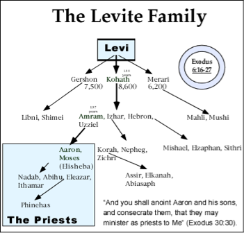 Chart of Levitical Tribe - diagram of Levi's descendants