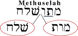 Methusaleh's name means 'death sent' or upon death, judgment (flood) sent.