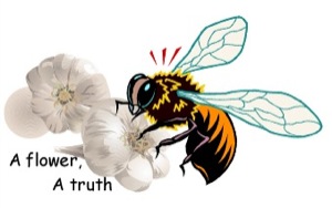 Bee discovering truths