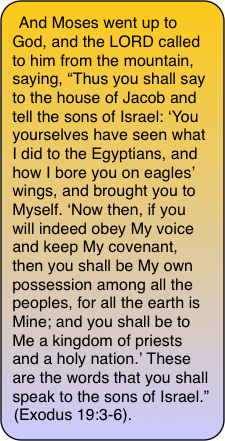 Exodus 19:3-6 And Moses went up to God, and the LORD called to him from the mountain, saying, “Thus you shall say to the house of Jacob and tell the sons of Israel: ‘You yourselves have seen what I did to the Egyptians, and how I bore you on eagles’ wings, and brought you to Myself. ‘Now then, if you will indeed obey My voice and keep My covenant, then you shall be My own possession among all the peoples, for all the earth is Mine; and you shall be to Me a kingdom of priests and a holy nation.’ These are the words that you shall speak to the sons of Israel.” (Exodus 19:3-6).