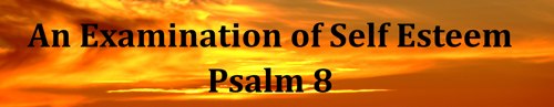 Banner of Examination of Self Esteem from Psalm 8