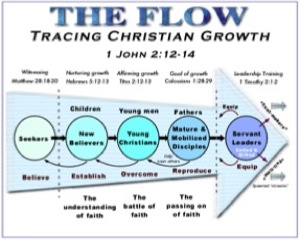 The Flow Diagram