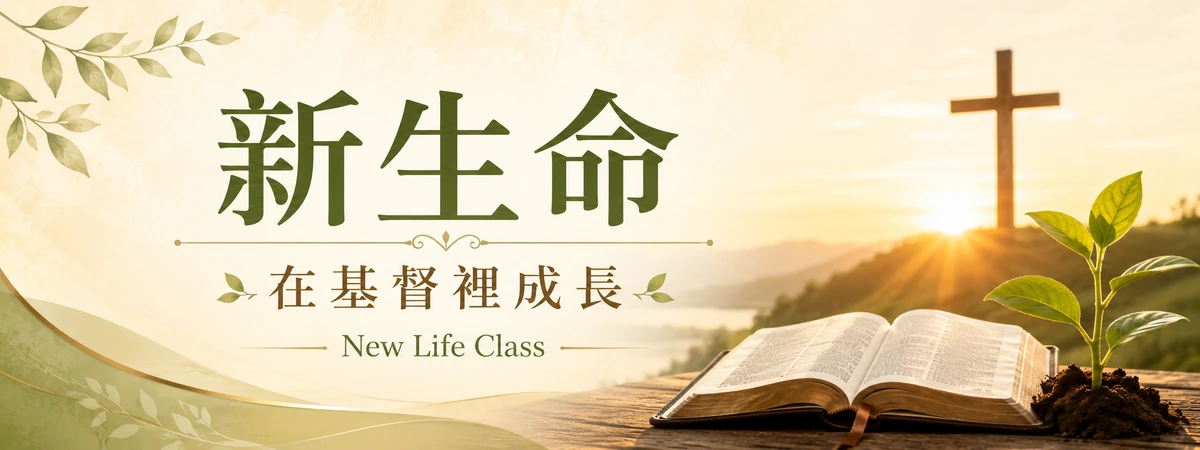 造就裝備流程視頻