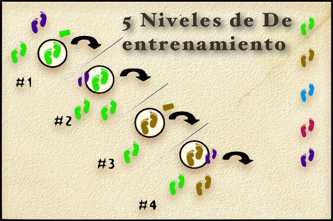 5 Niveles de De entrenamiento