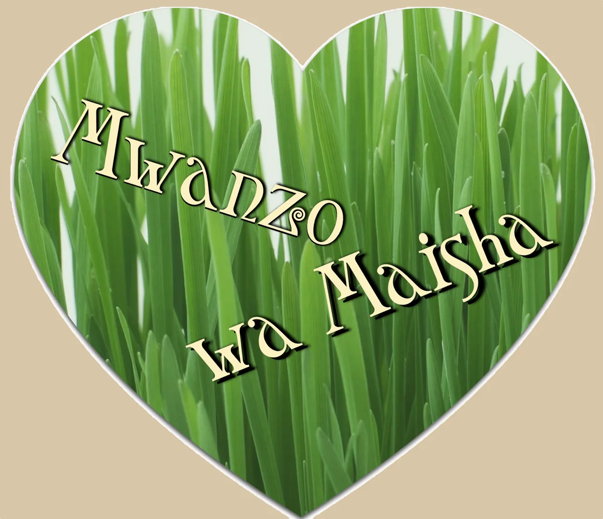 Mchoro wa somo la Chanzo cha Maisha (4-6)