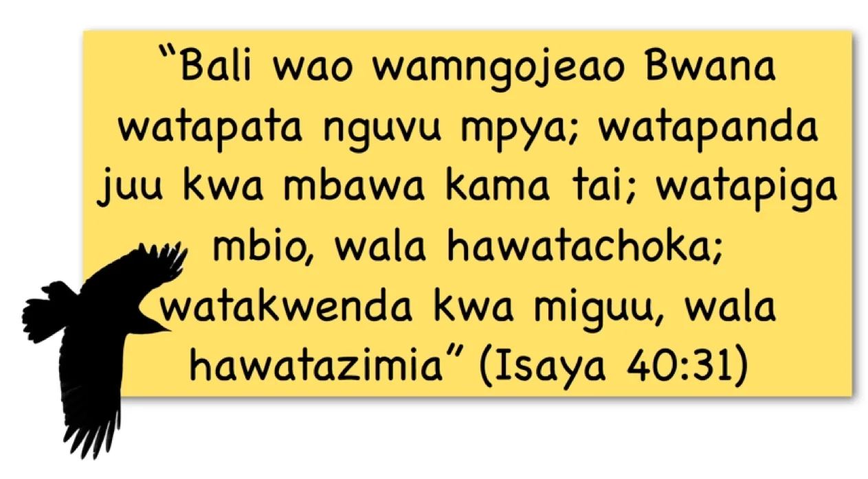 Mchoro wa somo la Chanzo cha Maisha (7-8)