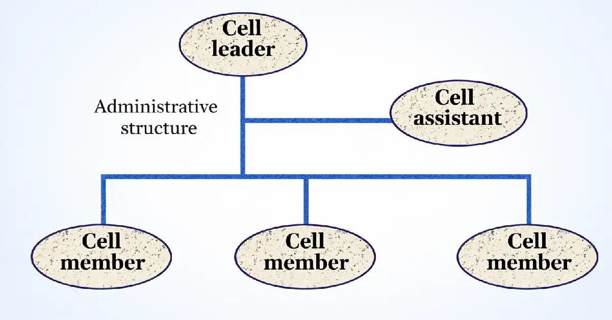 Administrative structure of a cell group