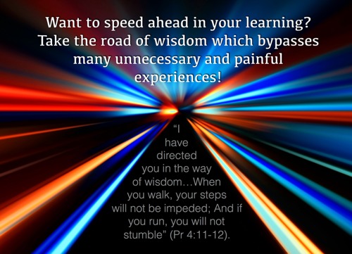 Speeding Up Personal Development with Wisdom