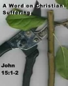 Pruning and suffering for Christians